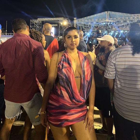 Low Rider Mesh Mini Dress - Picture 4 of 4